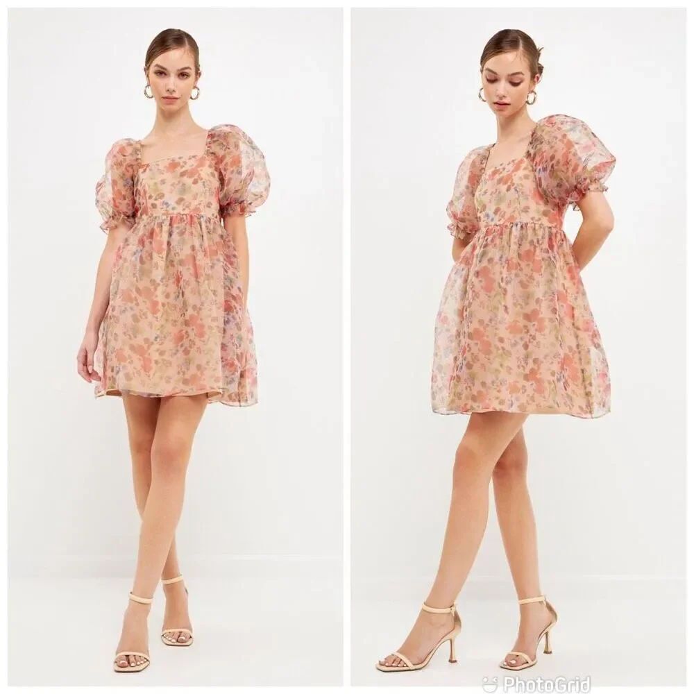 Endless Rose Puff Sleeve Mini Dress